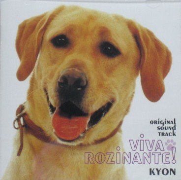 ボクの背中には羽根がある は Kinki Kids 11枚目のシングル 歌詞情報 動画まとめ 音楽メディアotokake オトカケ