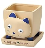 GREEN HOUSE OTOBOKE ANIMAL ネコ (100×140×110mm(受皿110×110×20mm)) 3386-C