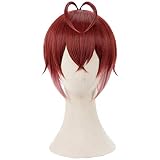 コスプレウィッグ ネット付き 耐熱 ウィッグ かつら wig ハロウィン コスチューム (リドル ローズハート)