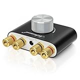 Nobsound NS-01G MAX Mini Bluetooth Amplifier: HIFI デジタル パワーアンプ 家庭 & 車 ＆ 船舶スピーカー用 100W x2 アクティブサブウーファー用 ワイヤレス オーディオ レシーバー (NS-01G MAX 電源アダプター非付属)