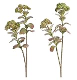 Club 12個パックUnique人工グリーンSucculent Sedum Sprays 15 "