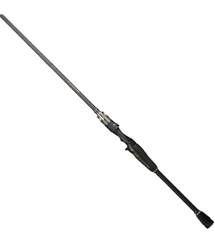 Amazon | メガバス(Megabass) DESTROYER SP F1-61XS 34176 | メガバス 