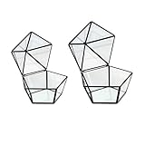 P Prettyia 幾何学的　ガラス　テラリウム　多肉植物　テラリウム　多目的　ボックス　2個　　　