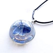 41hKdvkeyiL._AC_UL210_SR210,