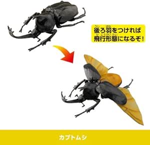 Amazon 昆虫の森 王座決定戦 3 カブトムシ 単品 通販