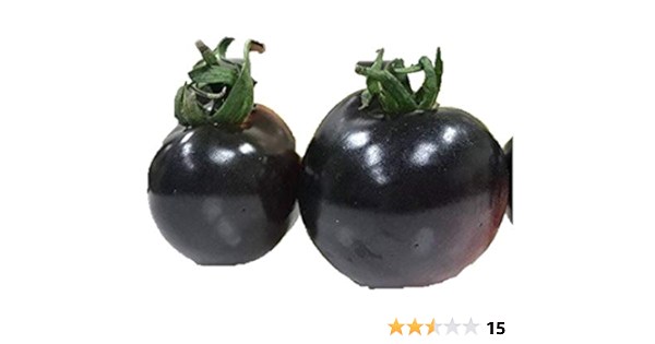 アントシアニン含む 黒紫ミニトマト 種 3粒 新品種 野菜 Amazon