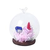 monkeyjackガラスマイクロ風景カバー花で花瓶テラリウム装飾 Bird クリア fda7233ae8aeadbf28d09b5149b3e540