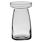 Syndicate Sales 6 1/8' Pillar Vase, Clear [並行輸入品]