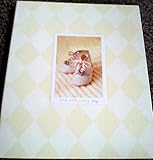 ベビーシャワー誕生日記念品アルバムオーガナイザー洗礼ギフト靴Favorsホールマーク