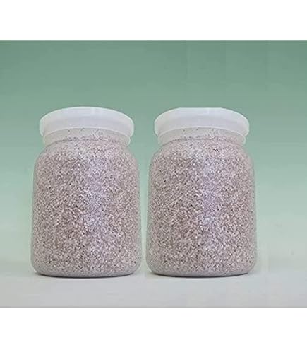 K 800ml 菌糸瓶13本 K 800ml 菌糸瓶13本 K 800ml 菌糸瓶13本 楽天市場