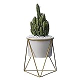AWHAO　モノスタンド植木鉢　植木鉢　プランタースタンド付き 陶器鉢 鉄製フラワースタンド　多肉植物　園芸用品　幾何学デザイン　おしゃれ (白いポット＋金色スタンド)