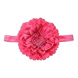 Domybest　ベビー ヘアバンド フラワー　柔らかい　キッズ 子供 カチューシャ 髪飾り ヘアアクセサリー　女の子 新生児 赤ちゃん 出産祝い 内祝い お宮参り 誕生日 100日記念 こどもの日 