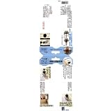 スターエム 超硬小径自在錐 NO.5010ST