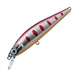 ダイワ(DAIWA) トラウト Dr.ミノー2 チェリーヤマメ 70S ルアー