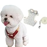 犬 ハーネス 超小型犬 はーねす 猫 ハーネス リードセット 負担が少ない 軽量 通気 ペット ハーネス おしゃれ 蝶結び 首輪 胴輪 簡単着脱 犬 ハーネス 抜けない 子犬介護 歩行補助用 (緑の小さな花, L)