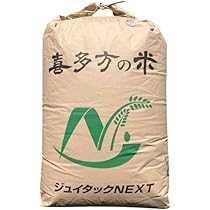 くず米 30kg (令和6年度産) 玄米　1袋 くず米 令和6年度産 30キロ 30kg 令和6年 玄米」の人気