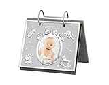 ラドンナ ベビーアルバムフレーム AMB88-S2 シルバー