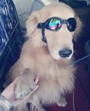 (ヨーテイ)Youtei 7kg以上 中型 大型 犬 用 サングラス ゴーグル 長さ 調整 ストラップ 付き (黒（ブラック）)