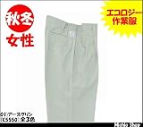 ミチオショップ RAKAN 女子脇ゴムスラックス E5550 日新被服 3L 40)シルバー