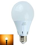 Luxon LED電球 LEDセンサーライト 搭載レーダー探知機付自動点灯 E26電球色 明暗&人感センサー 自動点灯 9W