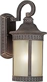 Forte Lighting 17021-01-28 Exterior Wall Light with Umber Seeded Glass Shades, Painted Rust [並行輸入品]