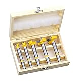 P Prettyia 5点セット フォスナービット　木材ドリルビット 超硬合金 専門ケース付き　