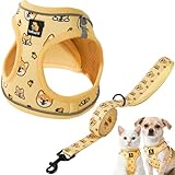 BELLA & PAL 犬用 ハーネス リード セット 小型犬 超小型犬 猫用ハーネス 胴輪 引っ張り防止 サイズ調整可能 夜間反射 脱着簡単 耐久性 通気性 ソフト メッシュ (ゲンキ柴, XS)