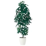 プラス　記載台　AKシリーズ　人工樹木　ツピダンサス　NO124J