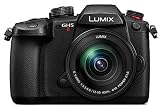 パナソニック(Panasonic) ミラーレス一眼カメラ ルミックス GH5M2 レンズキット 標準ズームレンズ付属 ブラック DC-GH5M2M