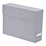 Bigsobox LOVISA  ファイル箱/12仕切り付き(グレー) 6801/541