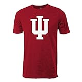 NCAA Indiana Hoosiersヴィンテージシアー半袖Tシャツ M レッド