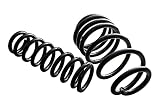 5ZIGEN 5G-COIL アップスプリング 1台分 適合車種：タフト [LA910S] R2/6～