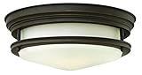 Hinkley 3302OZ-GU24 Foyer Hadley Light by Hinkley