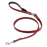 Beanspet 本革 犬用リード カフェスタイル 小型犬 中型犬 大型犬対応 回転金具付き おしゃれレザー 5色 3サイズ展開 (レッド, L)
