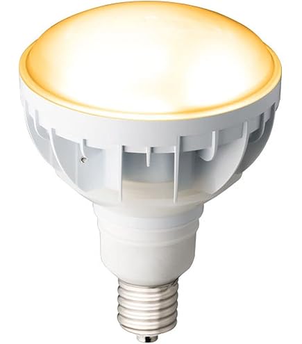 Amazon | 岩崎電気 LDR30N-H-E39/W850(旧形式:LDR33N-H/E39W750 Amazon | 岩崎電気 LDR30N-H-E39/W850(旧形式:LDR33N-H/E39W750