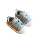 上履き 子供 キッズ シューズ 教育シューズ 14CM 幼稚園 入学 通園 上履き/子供 キッズ 上履き 女の子 男の子 (14cm, ライト)