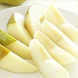 山形県産 洋梨 バラード 2kg(秀品/4玉-8玉入り)