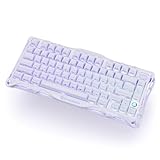 0.005mmラピッドトリガー 搭載 GravaStar Mercury V75 ゲーミングキーボード テンキーレス ポーリングレート8000Hz対応 0.125ms超低遅延 有線 着脱式ケーブル 75%サイズ 半アルミフレーム アクチュエーションポイント バックライトRGB 磁気式スイッチ パープ