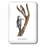 3drose LSP _ 114055 _ 1 Hairy Woodpecker byジョン・ジェームズ・オーデュボンライトスイッチカバー
