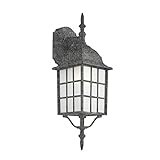 Transglobe Lighting 4420-1 SWI Outdoor Wall Light with Frosted Glass Shade, Swedish Iron Finished [並