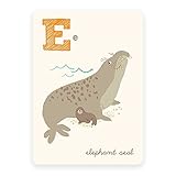 Sea Urchin Studio Wall Decor E/Elephant Seal [並行輸入品]