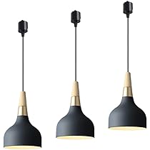 Amazon.co.jp : 3個セット ペンダントライト ブラック 鉄製 ダクト