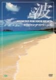 �g �`Medicine For Your Heart�` Caribbean Daydreams �J���r�A���E�f�C�h���[���Y
