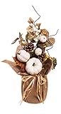 CypressホームホワイトPumpkinフローラルテーブルデコレーション