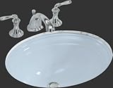 Kohler Closeout k2336 – 6 18 x 14 Undermount洗面所シンクでスカイライト