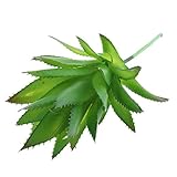 Homyl 全６様式多色選ぶ　癒し　人工観葉植物　人工多肉植物　花　草　植物　卓上　店舗　家の装飾　インテリア　 - 色2, 様式1