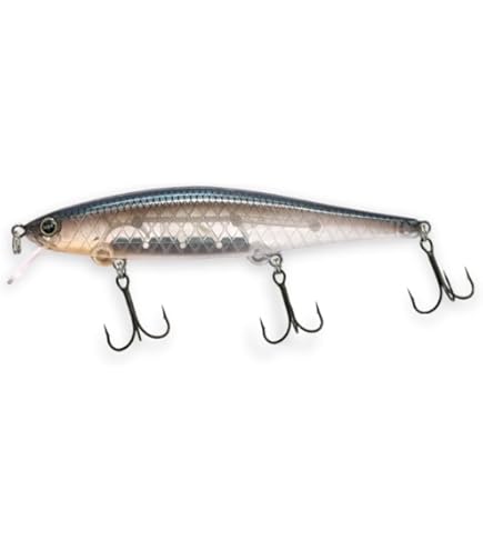 Amazon.co.jp: REVONIK（レヴォニック）シンディー110