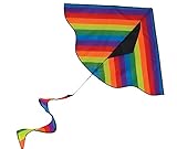 In the Breeze Rainbow Stripe Delta Kite with Spinning Tail
