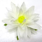 MANJA 造花 蓮の花 ロータス IMF-0039-WH (ホワイト)