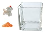 花市場直送便 ミニチュアガラス トイプードル ホワイト & カラーサンド オレンジ & 植え込み用グラス ニューブロックL